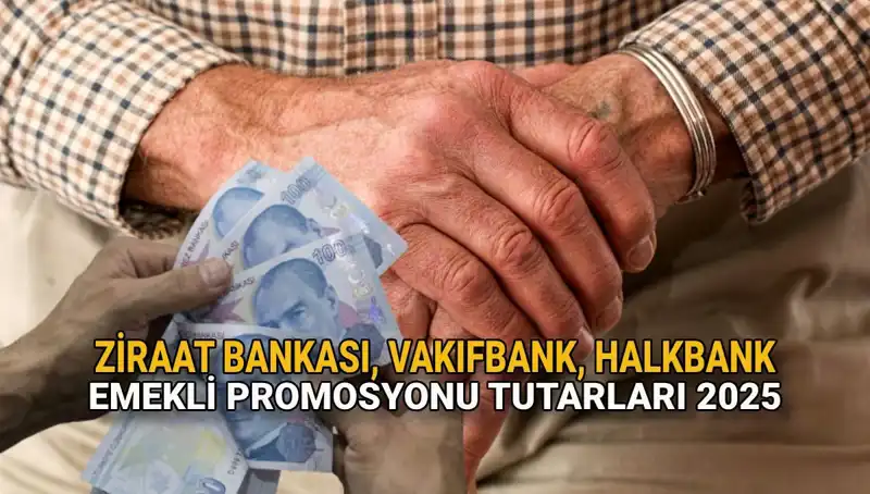 2025'te Emeklilere Sunulan Kamu Bankaları Promosyonları Detayları
