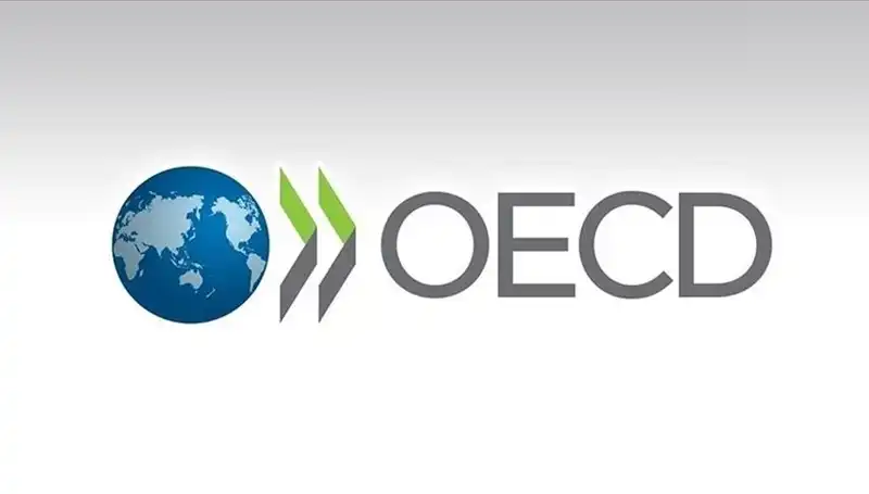 OECD, Türkiye’nin Ekonomik Büyüme Tahminini Yeniledi: 2024’te Neler Bekleniyor?