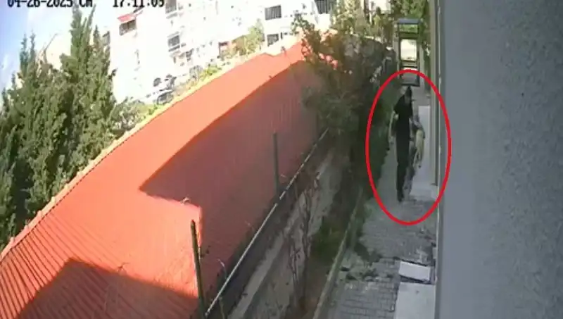 Veteriner Doktorun Şok Edici Suçlaması: Evdeki Köpekleri Parçaladı!