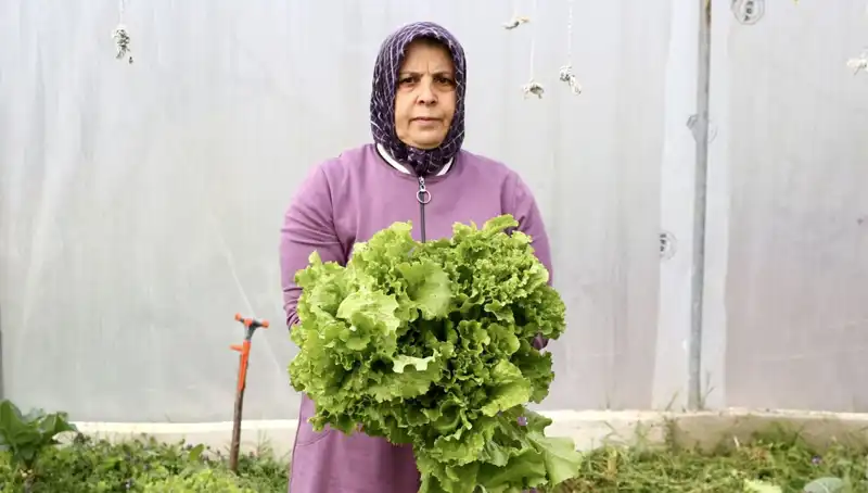 Emekli Oldu, Devlet Desteğiyle Hayalini Gerçekleştirdi: Kendi İşini Kurdu