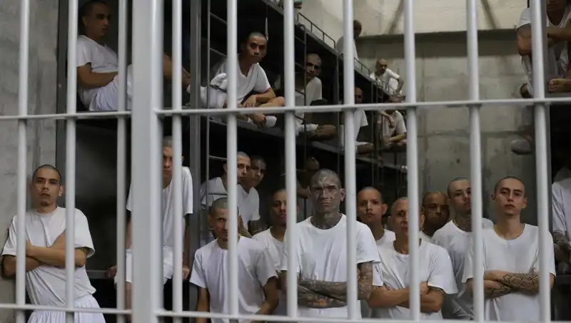 El Salvador'dan Amerika'ya Küçük Bir Adım: Göçmenler ve Sorumluluklar