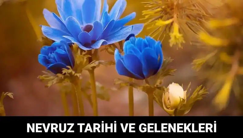 Nevruz Bayramı: Kutlama Tarihleri ve Gelenekleri Hakkında Her Şey