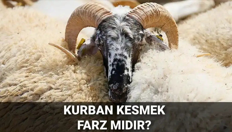 Kurban Kesmek Farz Mıdır? Diyanet'in Görüşleri ve Şartlar