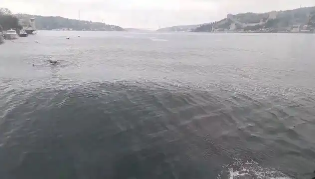 İstanbul Boğazı'nda Dalgalar Yükseliyor: Denizdeki Tehlikeler ve Önlemler