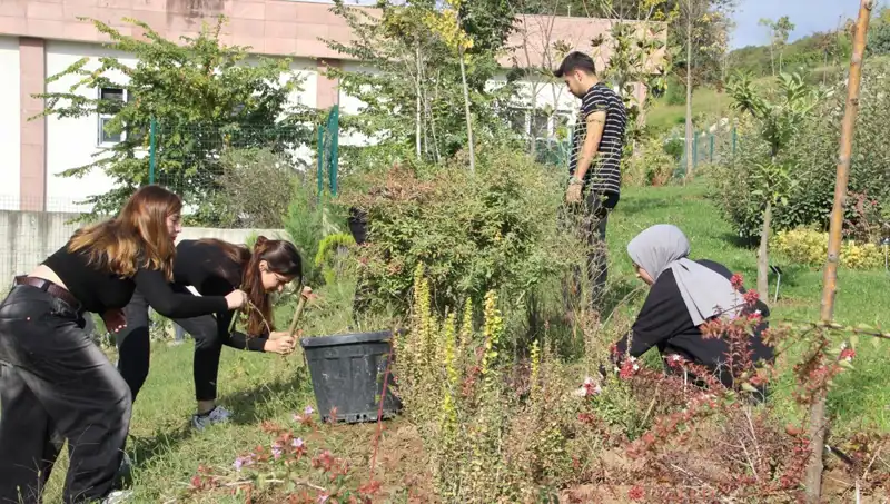 Düzce’nin Gizli Hazinesi: Hayalini Gerçeğe Dönüştüren Başarı Hikayesi
