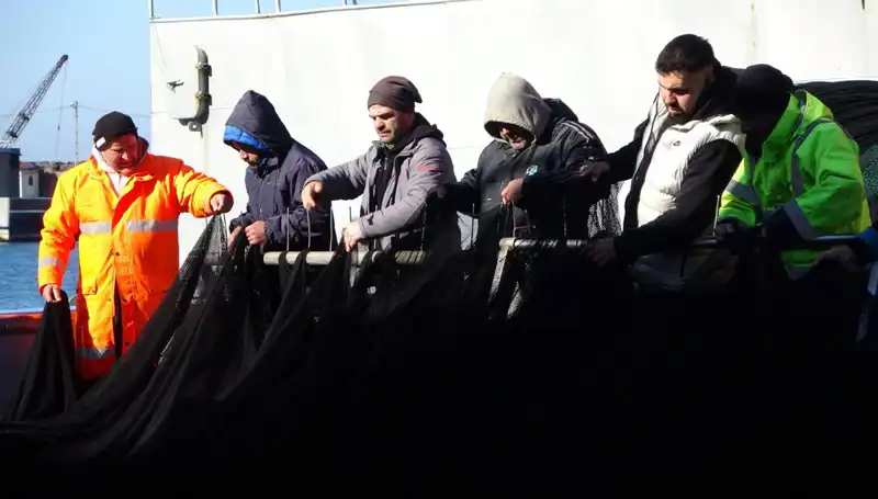 Denizlerde Hamsi Krizi: Tekneler Kışa Erken Veda Ediyor