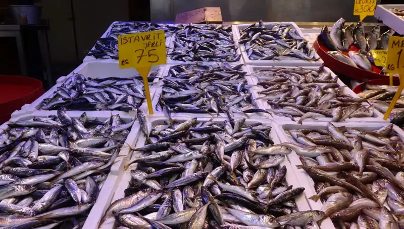 Balık Sezonu Sona Ererken, Fisherman'ların Yüzleri Neden Gülmüyor?