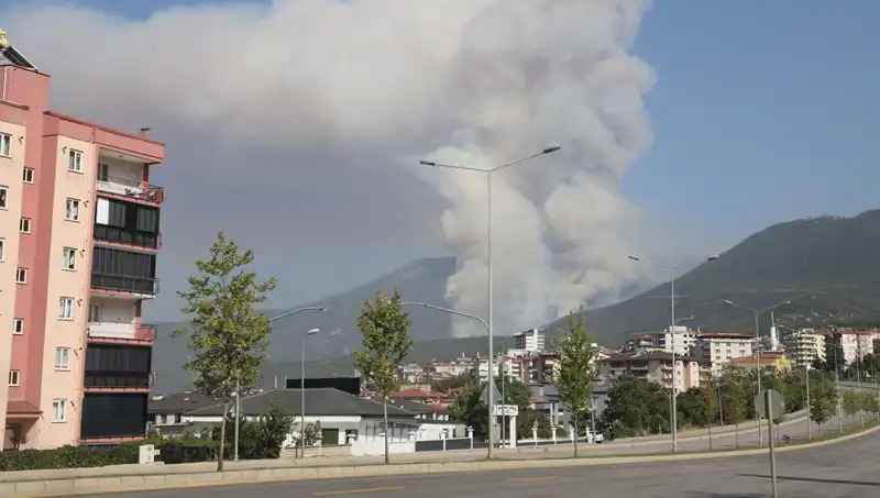 Denizli'de Orman Yangını! Olayla İlgili Bir Kişi Gözaltında