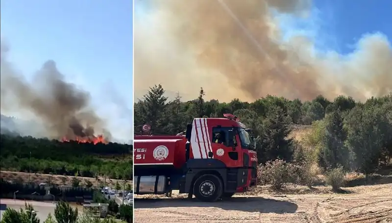 Gebze'de Çıkan Orman Yangını, Doğayı ve Hayatı Tehdit Ediyor