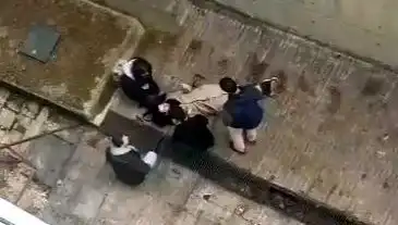 Kampüs Alanında Köpek Paniği: Öğrenci 4 Metreden Betona Düştü!