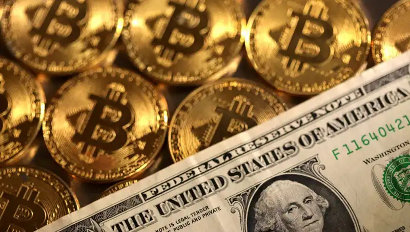 Kripto Fonları Piyasa Düşüşüyle Tarihinin En Büyük Kaybını Yaşadı