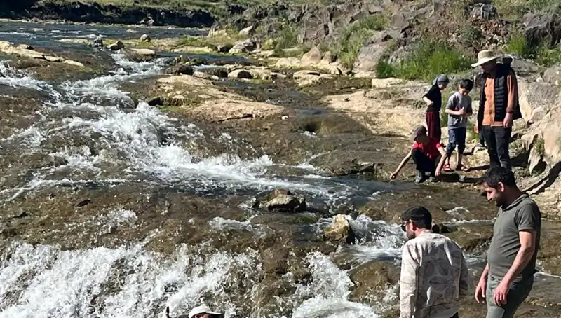 İnci Kefali Göçü: Turistlerin Gözdesi Haline Geldi