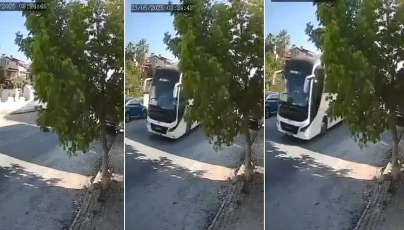 Yolda Yatan Köpeği Ezip Geçen Şoförün İfadesi Şok Etti
