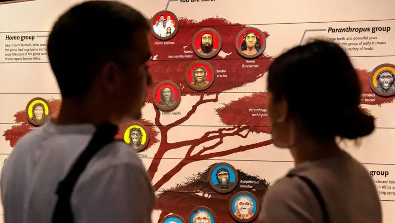 Modern İnsanlar, 40 Bin Yıl Önce Yok Olmaktan Nasıl Kurtuldu?
