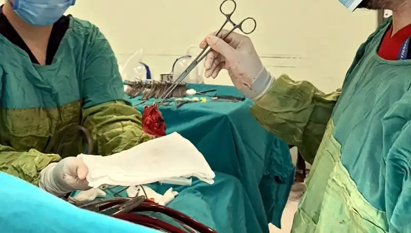 Kalp Kapağı Çürümüş Hastaya Yapılan 7 Saatlik Ameliyat Mucize Gibi