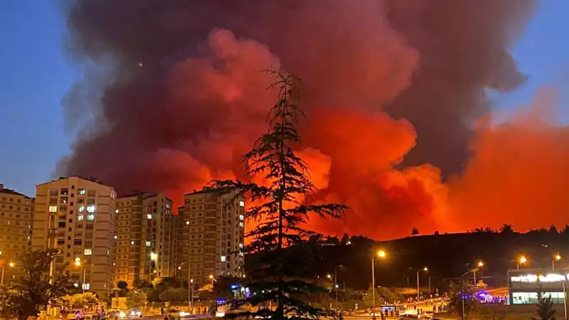 Bursa'da Tüyler Ürperten Yangınların Ardındaki Gerçekler Neler?