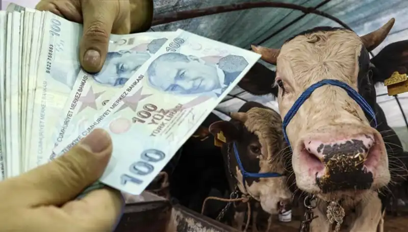 Kurban Bayramı Öncesi Maaşlar Yatıyor mu? Emekli ve Memurlar Ne Zaman Alacak?