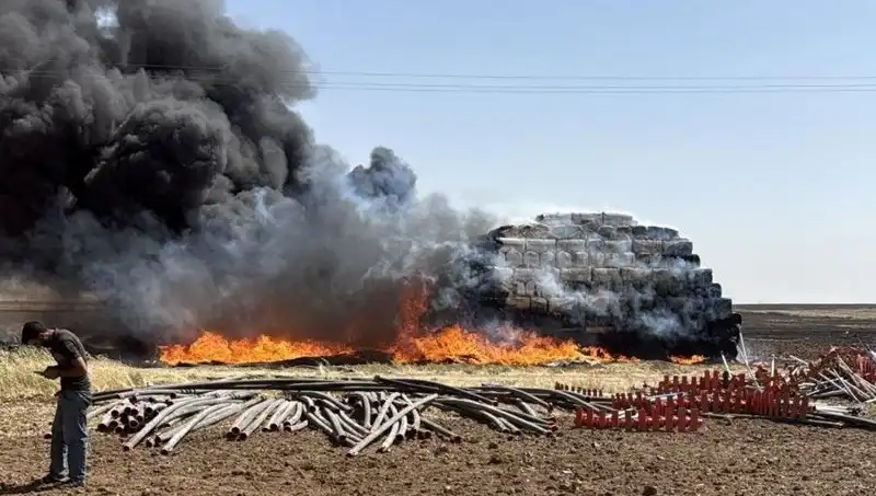 Mardin'de Yangın Alarmı: Anız Yangınları Kontrol Altına Alınamıyor!
