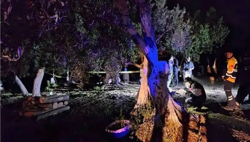 Çiftlikteki Baltalı Vahşete Şok Üstüne Şok: Tutuklama Gerçekleşti!