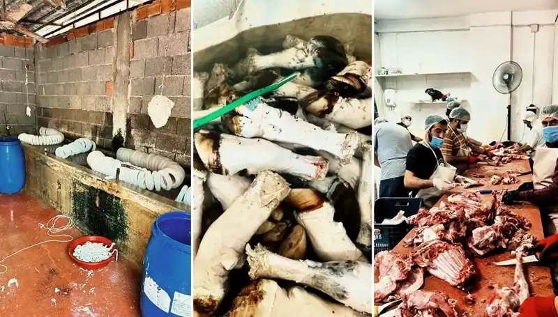 Adana'da İğrenç Görüntüler: Yüzlerce Kilo Paça Pazara Sunulmak Üzere Ele Geçirildi