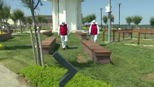 Kene Tehdidi Artıyor: Halka Açık Alanlarda İlaçlama Uygulamaları Devreye Girdi